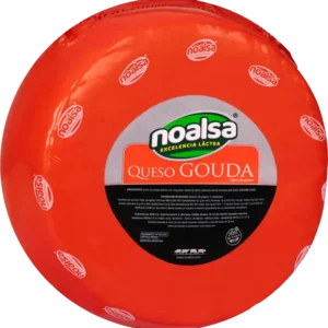 Queso gouda